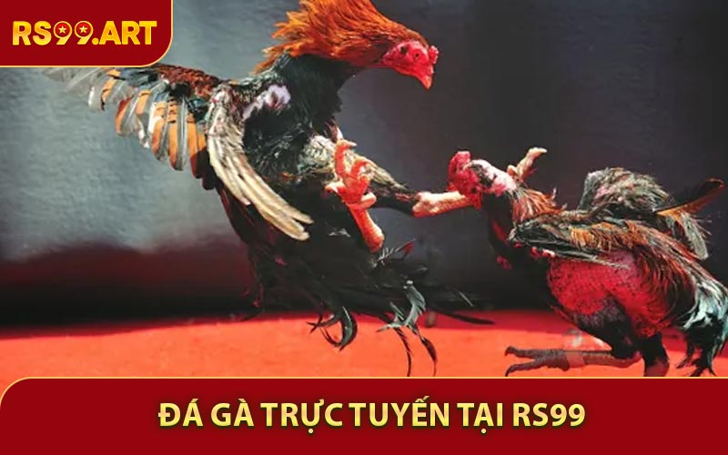 Đá Gà Trực Tuyến - Sự Kết Hợp Giữa Tốc Độ Và Chiến Lược Tại RS99